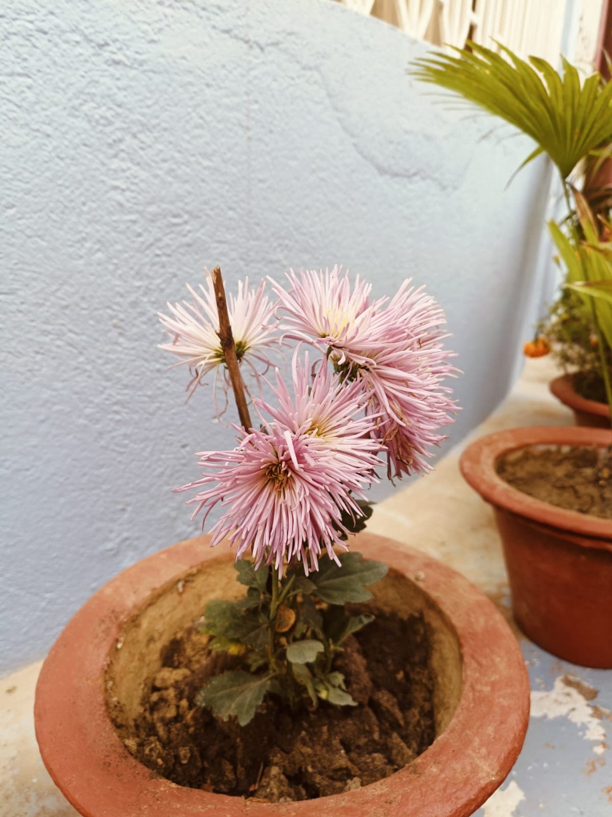 Holy Mission School teacher and student interaction